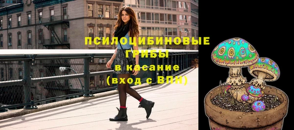 гашик Абинск