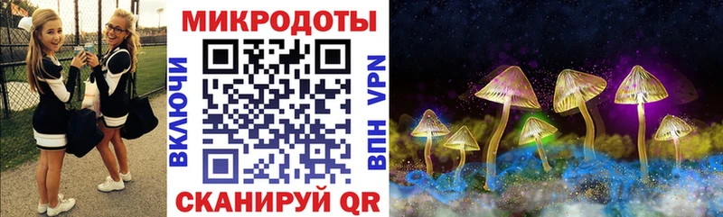 Псилоцибиновые грибы мицелий  ссылка на мегу ССЫЛКА  Плавск 